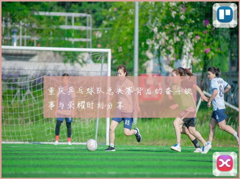 重庆乒乓球队总决赛背后的奋斗故事与荣耀时刻分享