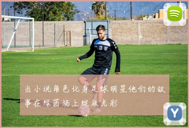 当小说角色化身足球明星他们的故事在绿茵场上绽放光彩