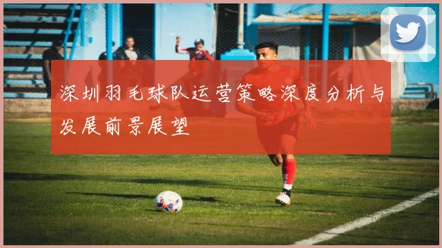 深圳羽毛球队运营策略深度分析与发展前景展望