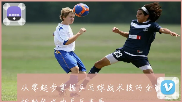 从零起步掌握乒乓球战术技巧全解析助你成为乒乓高手