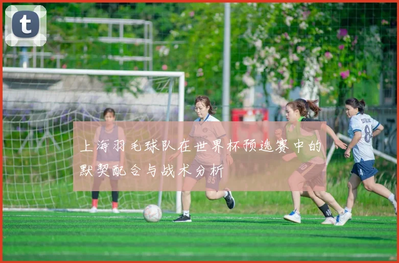 上海羽毛球队在世界杯预选赛中的默契配合与战术分析