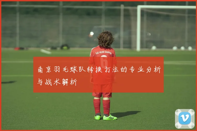 南京羽毛球队转换打法的专业分析与战术解析
