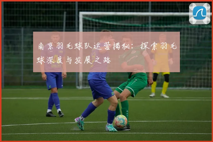 南京羽毛球队运营揭秘：探索羽毛球深度与发展之路