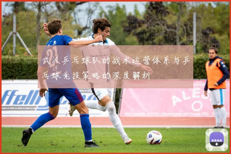 武汉乒乓球队的战术运营体系与乒乓球竞技策略的深度解析