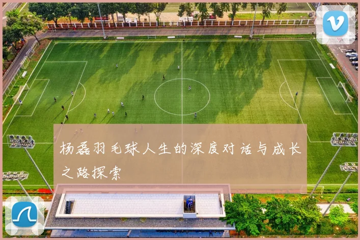 杨磊羽毛球人生的深度对话与成长之路探索