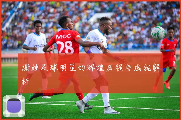 谢姓足球明星的辉煌历程与成就解析