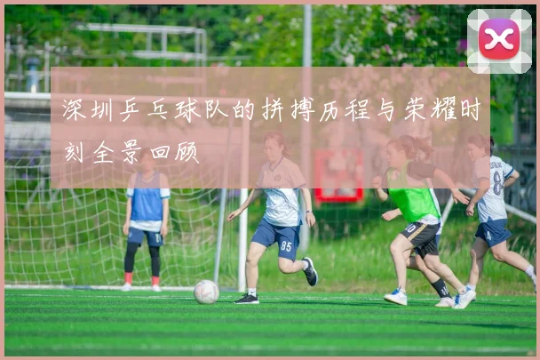 深圳乒乓球队的拼搏历程与荣耀时刻全景回顾