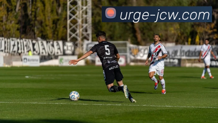 竞彩网平台生态图